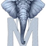 Logo 19